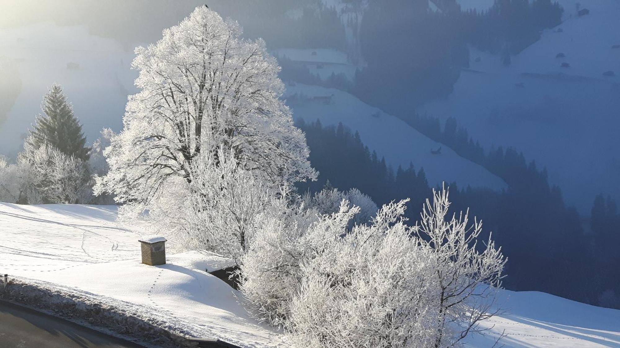 Haus Panorama Apartment Gerlosberg Luaran gambar